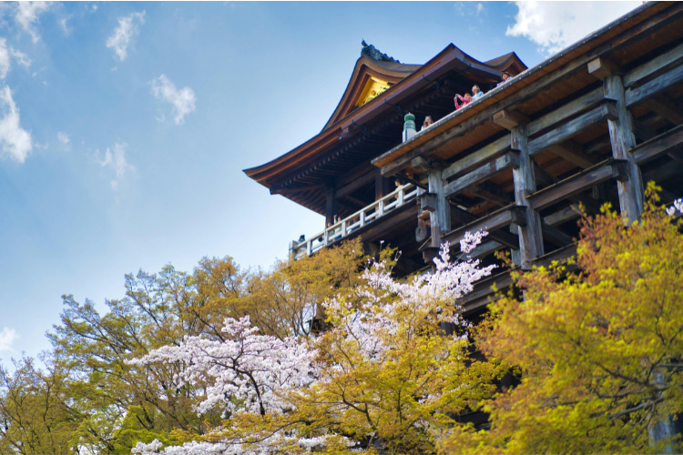 日本の伝統構法「木組み」によって建築された清水寺